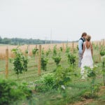 vineyard-wedding-pic_1